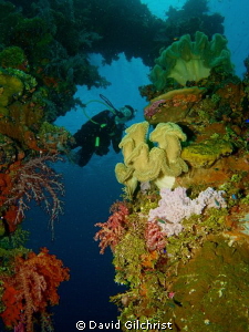 Exploring the Sanisan Maru, Truk Lagoon by David Gilchrist 